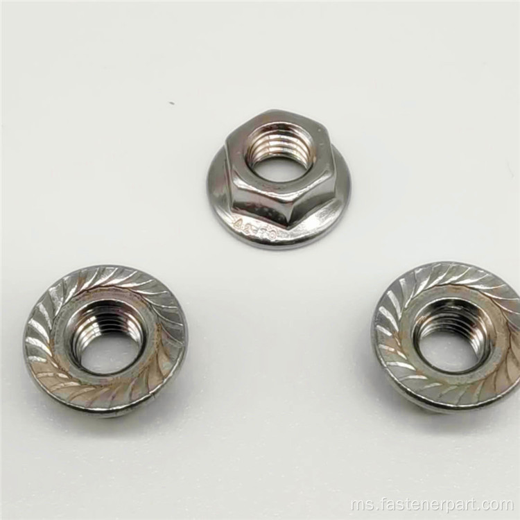 304 Keluli Tahan Karat Din6923 Hex Flang Nut