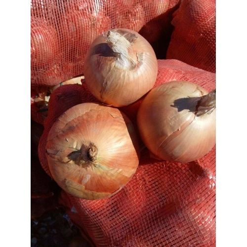 40mm Natural Fresh Onion 15kg / Mesh Bag , China Manufacturer