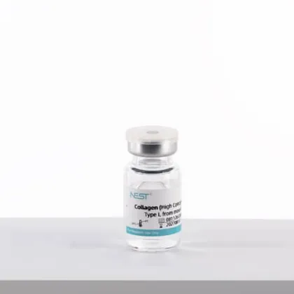 Collagen, Type I
