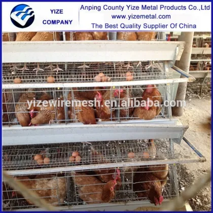 welded chicken cage wire mesh/chicken wire cage/wire mesh cage chicken layer for kenya farms
