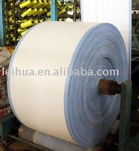 PP woven geotextile fabric for road