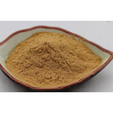 High-Quality Mung Bean Sprout Extract Powder for Wellness