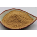 High-Quality Mung Bean Sprout Extract Powder for Wellness
