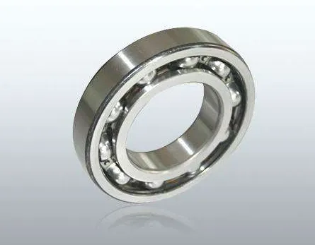 6010 Single Row Deep Groove Ball Bearing