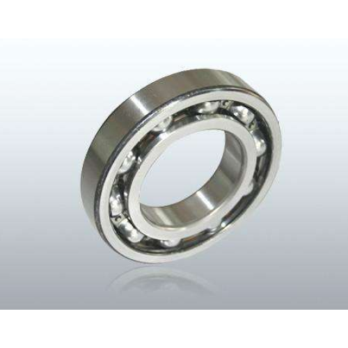 6010 Single Row Deep Groove Ball Bearing