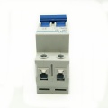 CHINT Mini Circuit Breaker DZ47-60 2 Poles C type 1A 2A 3A 4A 5A 6A 10A 16A 20A 25A 32A 40A 50A 60A C45 MCB