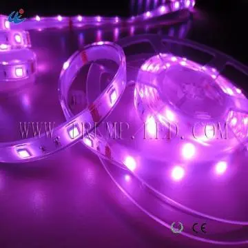 best price 5m 600leds christmas led lights