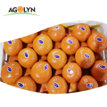 Sweet Smaak Hoge vitamine C Fresh Orange / Wo Tangerine