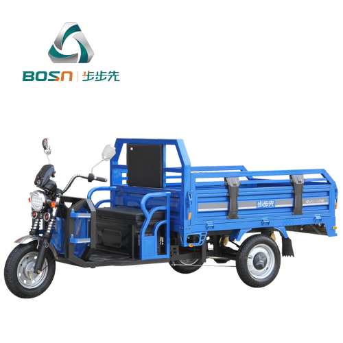 3 wheel adults cargo electric tricycle