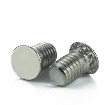 A2 A4 SS Stainless Steel Clinching Bolt