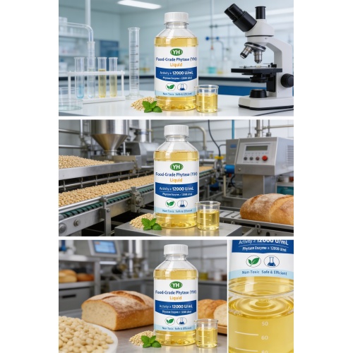 Food-Grade Liquid Enzyme with High Activity ≥12000 U/mL"