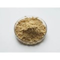 Gynostemma Pentaphyllum Leaf Extract Gynostemma Gypenosides