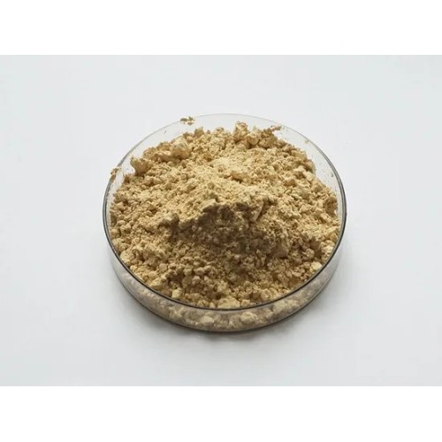 Gynostemma Pentaphyllum Leaf Extract Gynostemma Gypenosides