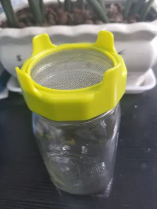Nursery Trays Lids Seed Sprouter Germination Cover Sprouting Filter Gardening Supplies Mason Jar Sprouting Lids