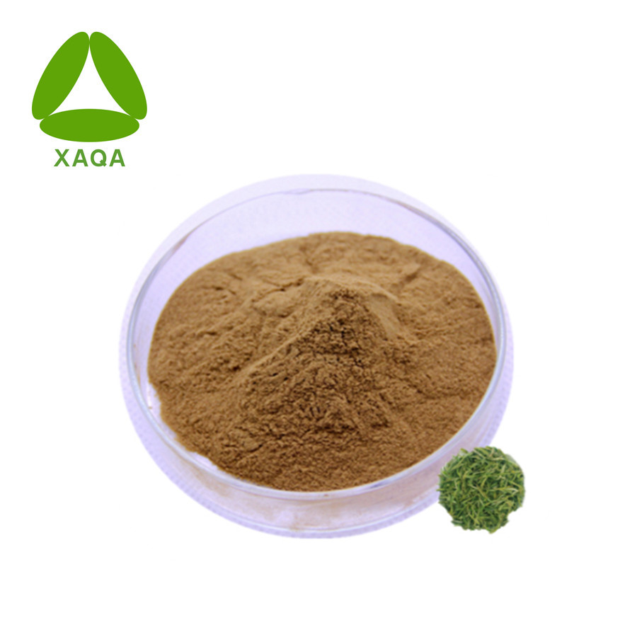 Green Tea Extract Polyphenol 98% HPLC Powder