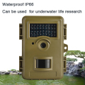 Sensor de movimiento digital cámara de trampa de investigación de vida silvestre