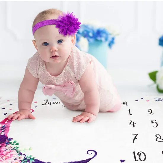 Wholesale  print soft monthly minky milestone babies blankets customized fleece baby blanket for sleeping