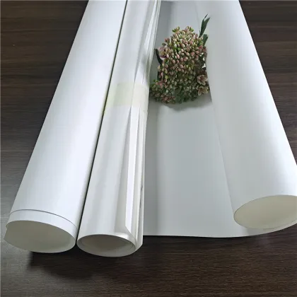 earthfirst pla film environmentally-friendly