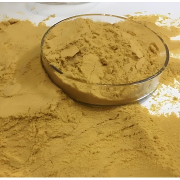 Polyferriculfat zur Entfernung von Phosphor in der Wasserbehandlung