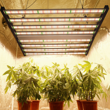 Full Spectrum Plant Led Lamp 1000w