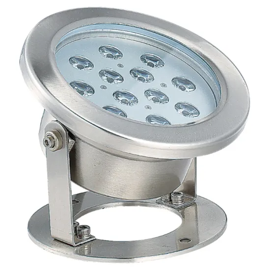 IP68 Waterproof Swimming Pool Underwater Light: White and Blue Illumination with DC24V/12V Power Supply