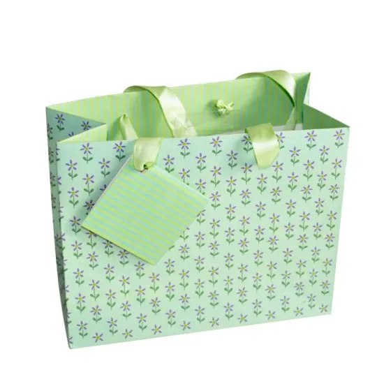 Fashion handmade custom printed Color gift paper bag