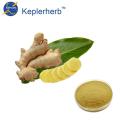 Ginger extract factory supply