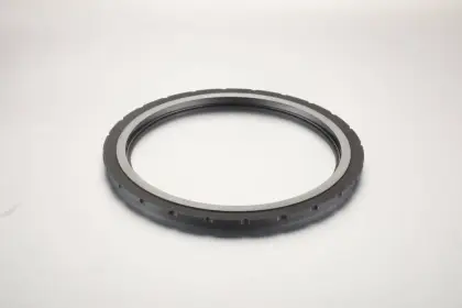 Customized Carbon Graphite Seal Ring