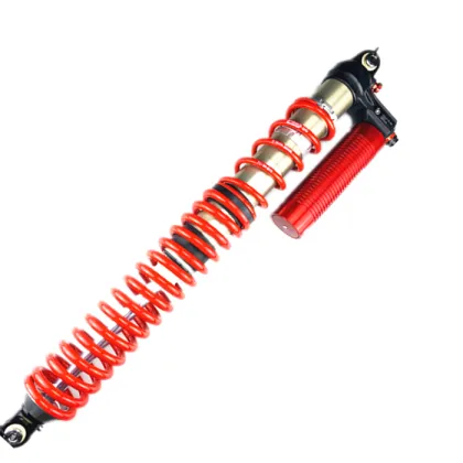 Advanced Desert Racing Coilover Suspension with Eibach Springs - 4-Way Adjustable
