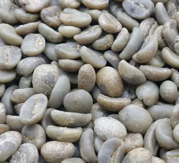 Small Coffee beans Catimor Miel process Espressp