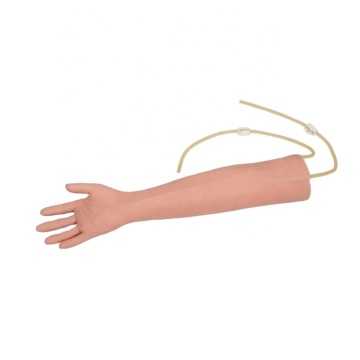 Darhmmy Advanced Medical PVC Model ARM για Εκπαίδευση