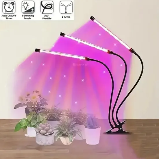 LED Grow Light Hydroponic System: Indoor Greenhouse for Vegetable, Flower, Succulent, and Tomato Plant Growth
