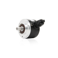 Rotary encoder magnetic