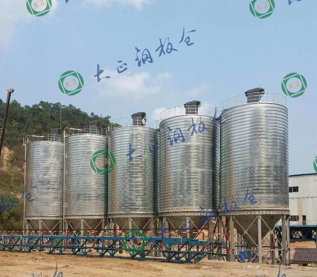 Xiamen Vision Macro01