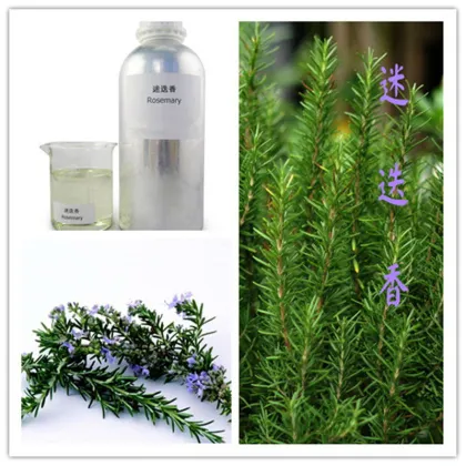 Pure Rosemary Essential Oil