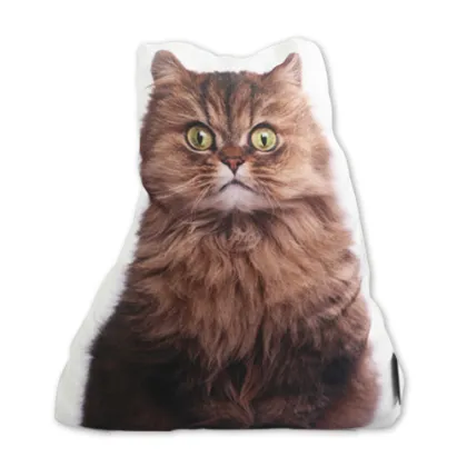 Brown cat door stopper