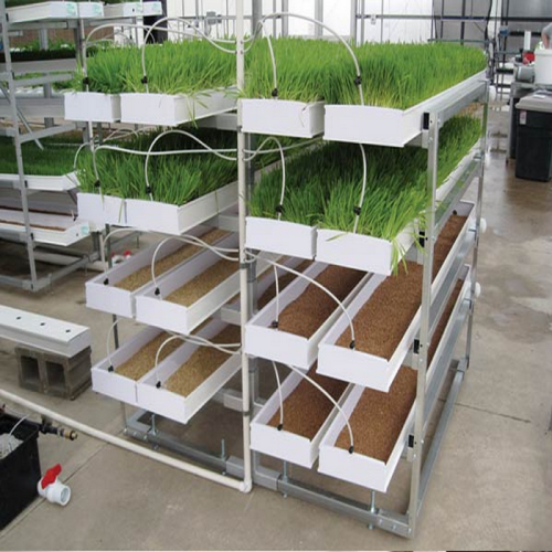 Hydroponic Fodder ProFeed Growing System