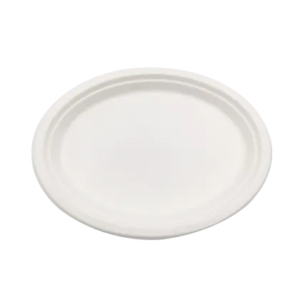 Biodegradable plates and screws plate 10'' Oval Plate