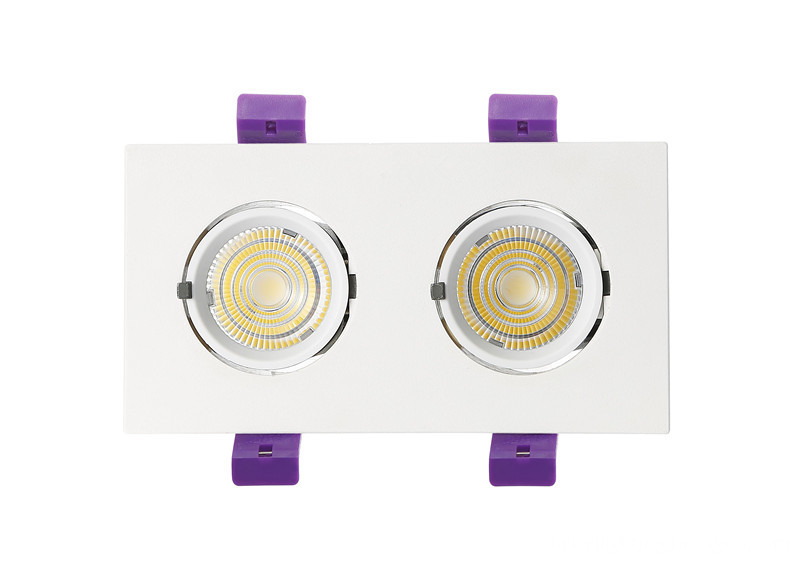 two head LED trunk downlight