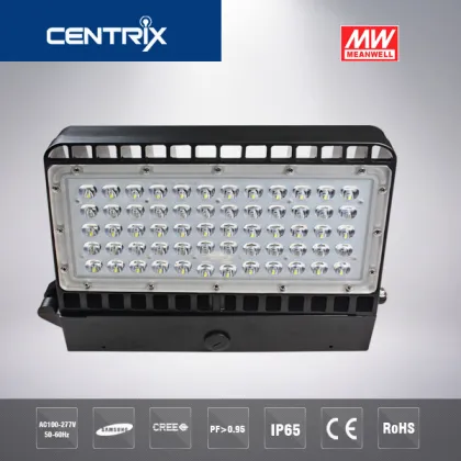 100w led outdoor wall lights for Meanwell driver Cree chip wall light