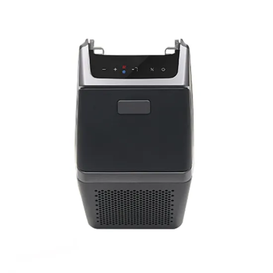 12V Car Refrigerator 35L Large Capacity Portable Fridge for Tesla Model Y