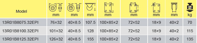 Parameters Of 13R01B8100.32EPI