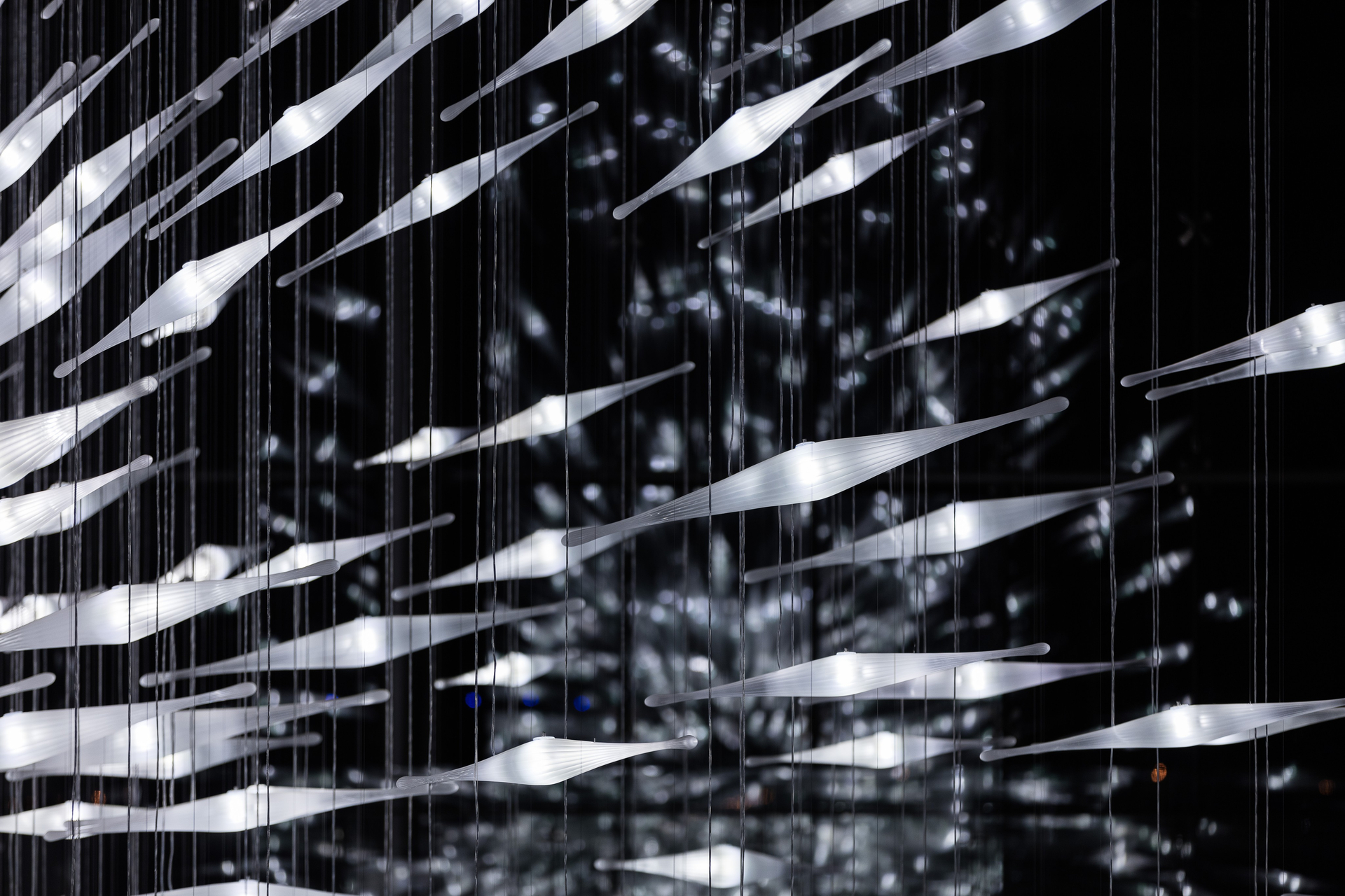 tn253z_014_lasvit_intercontinental_tianjin_16cn062_photo_2019_mid_uid_62c326bbb92ce