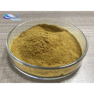 High Quality Chlorogenic Acid Honeysuckle Flower Extract