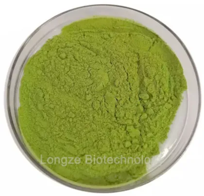 Wholesale Barleygrass Juice Powder Organic Concentrate Barley Grass Powder