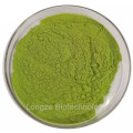 Free Samples Bulk Barley Grass Powder Barley Grass Juice Powder