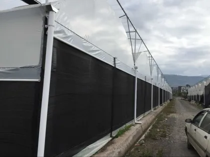 auto forever flowering greenhouse