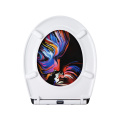 Duroplast Soft Close Toilet Seat(Line Portrait)