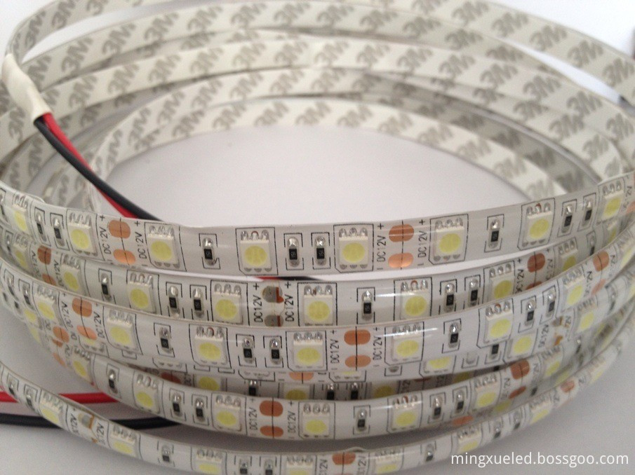 SMD5050 LED Strip Light