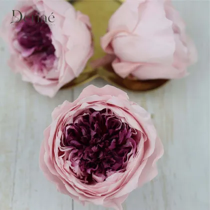 Preserved Double-color Austin Rose Head